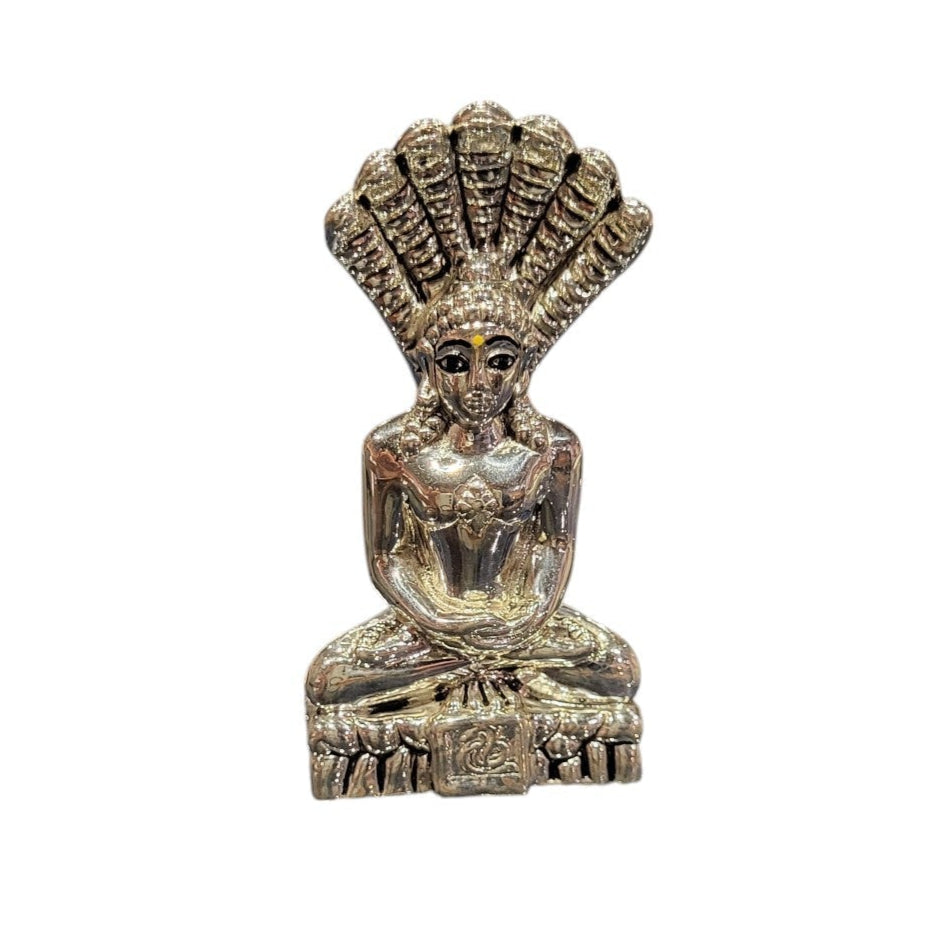 PARSHWANATH 207