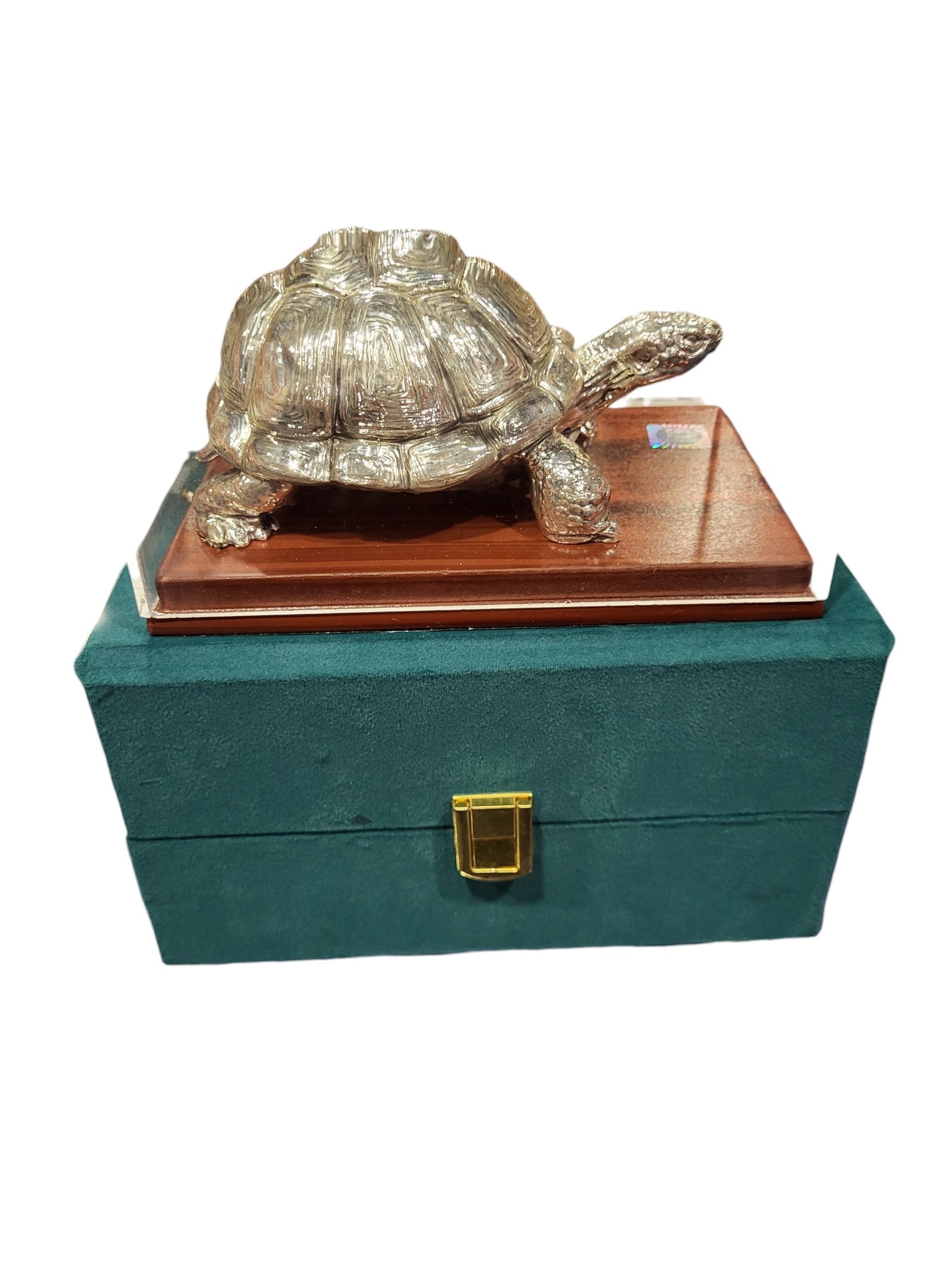 TORTOISE -S