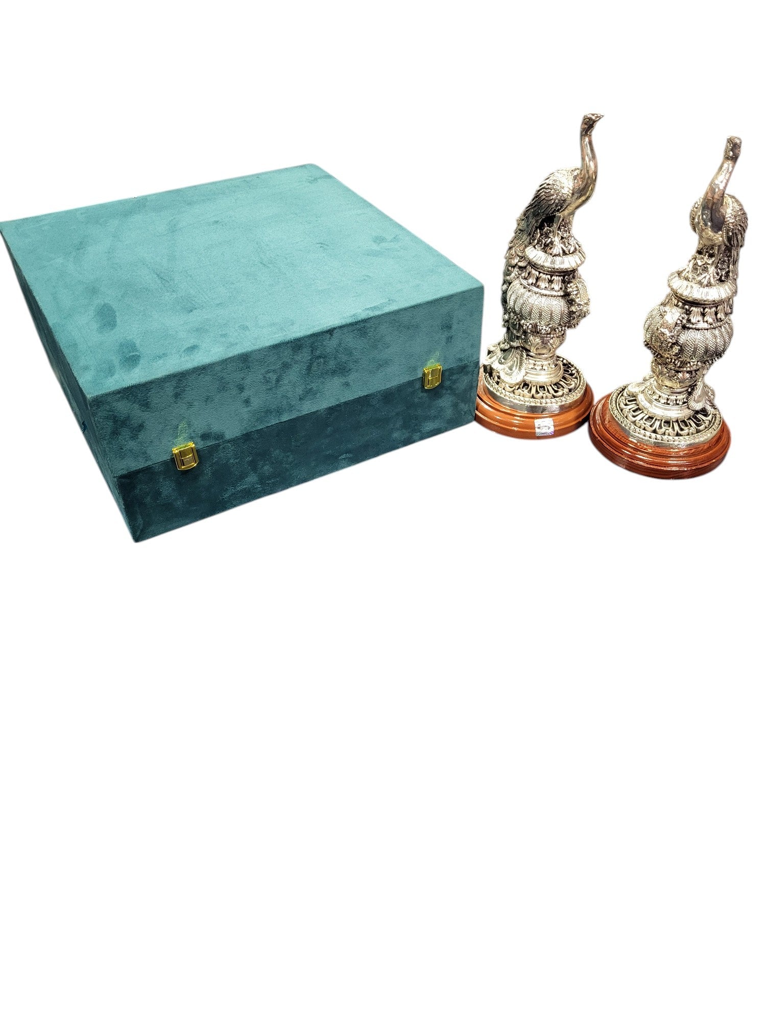 PEACOCK PAIR - M