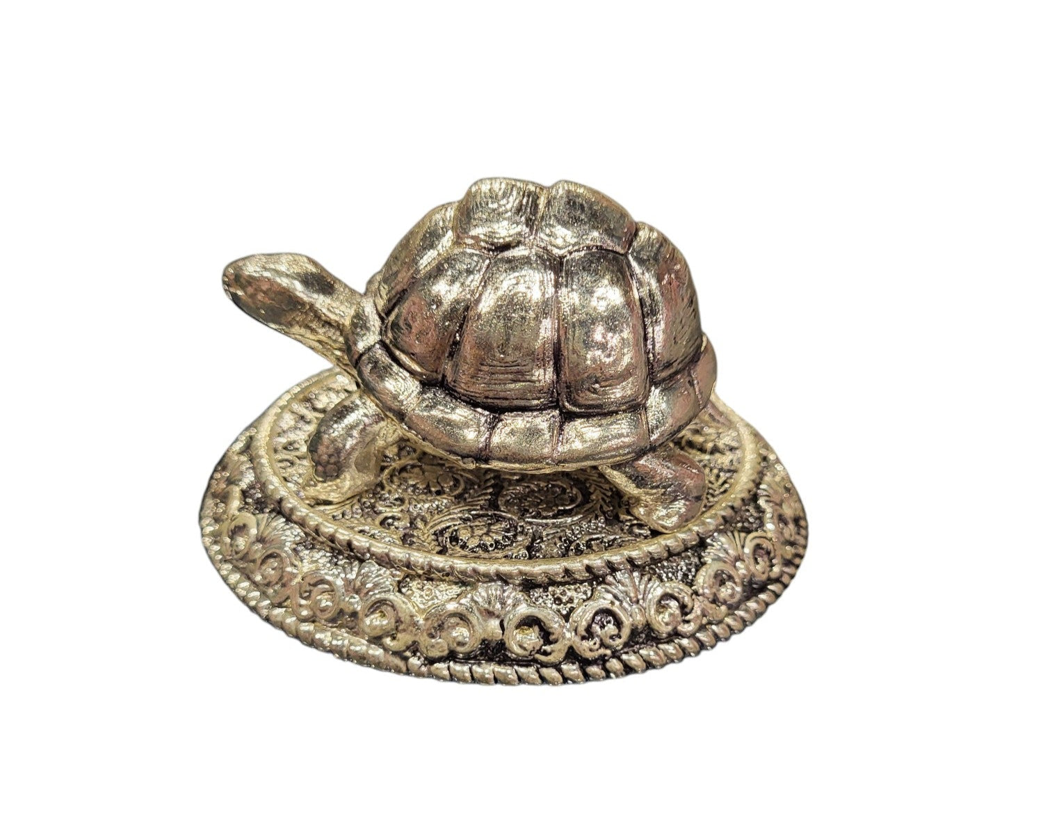 TORTOISE-S "