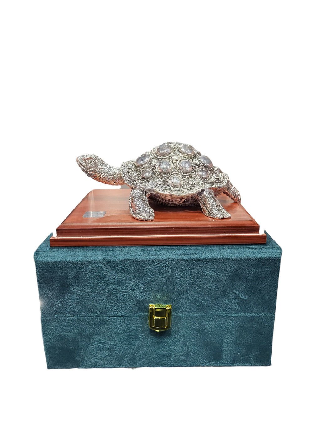TORTOISE ""