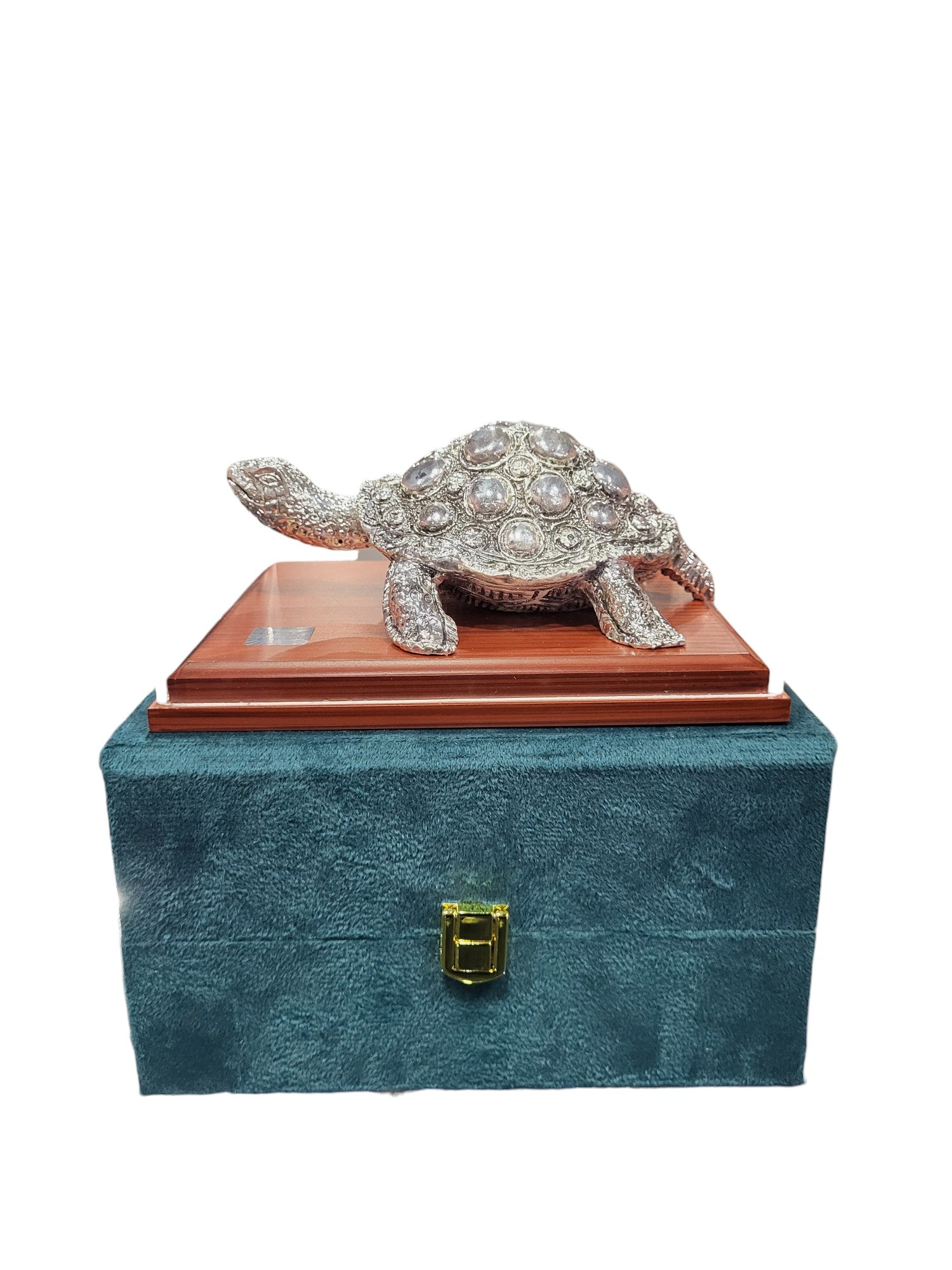 TORTOISE ""