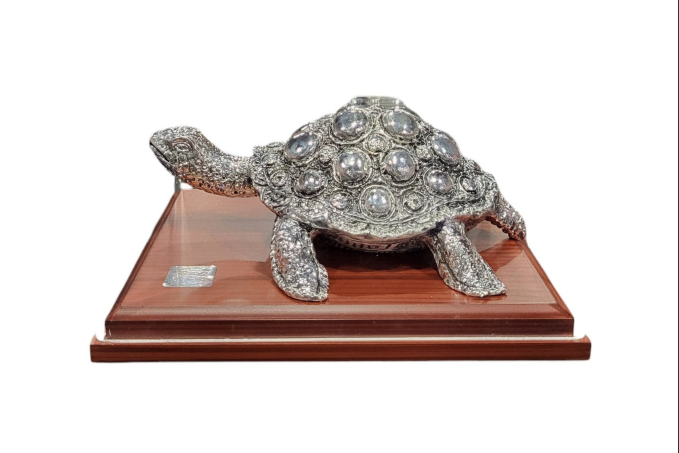 TORTOISE ""