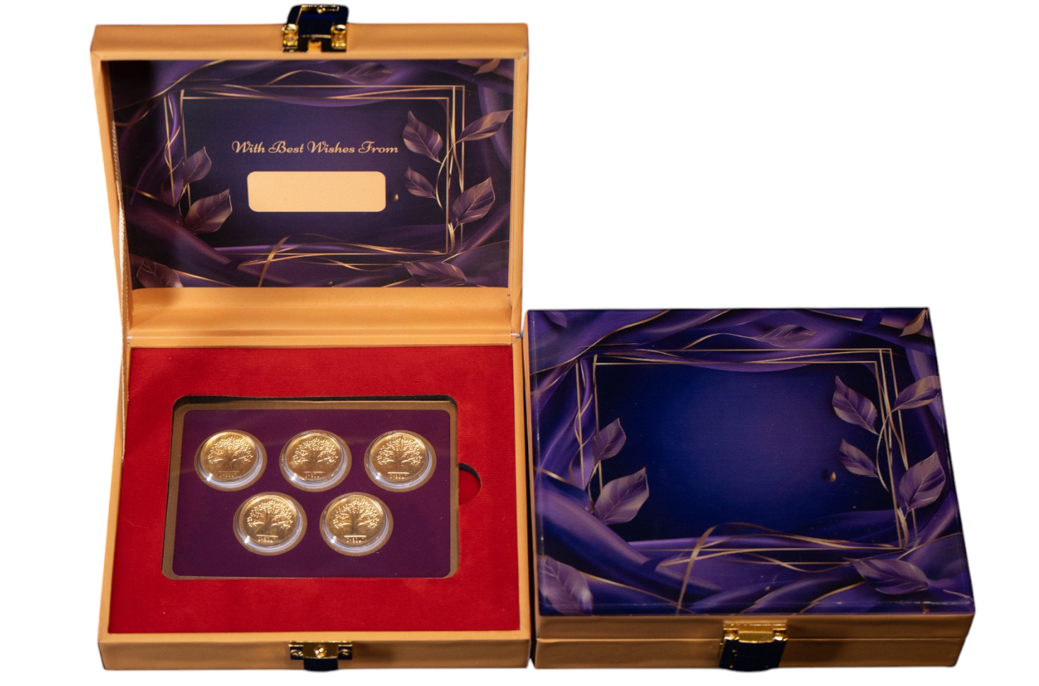 BOX GOLD COIN PLAIN - WINE 500MG  (100X5) WITH GOLD COIN PLAIN TREE - WINE 500MG  (100X5)