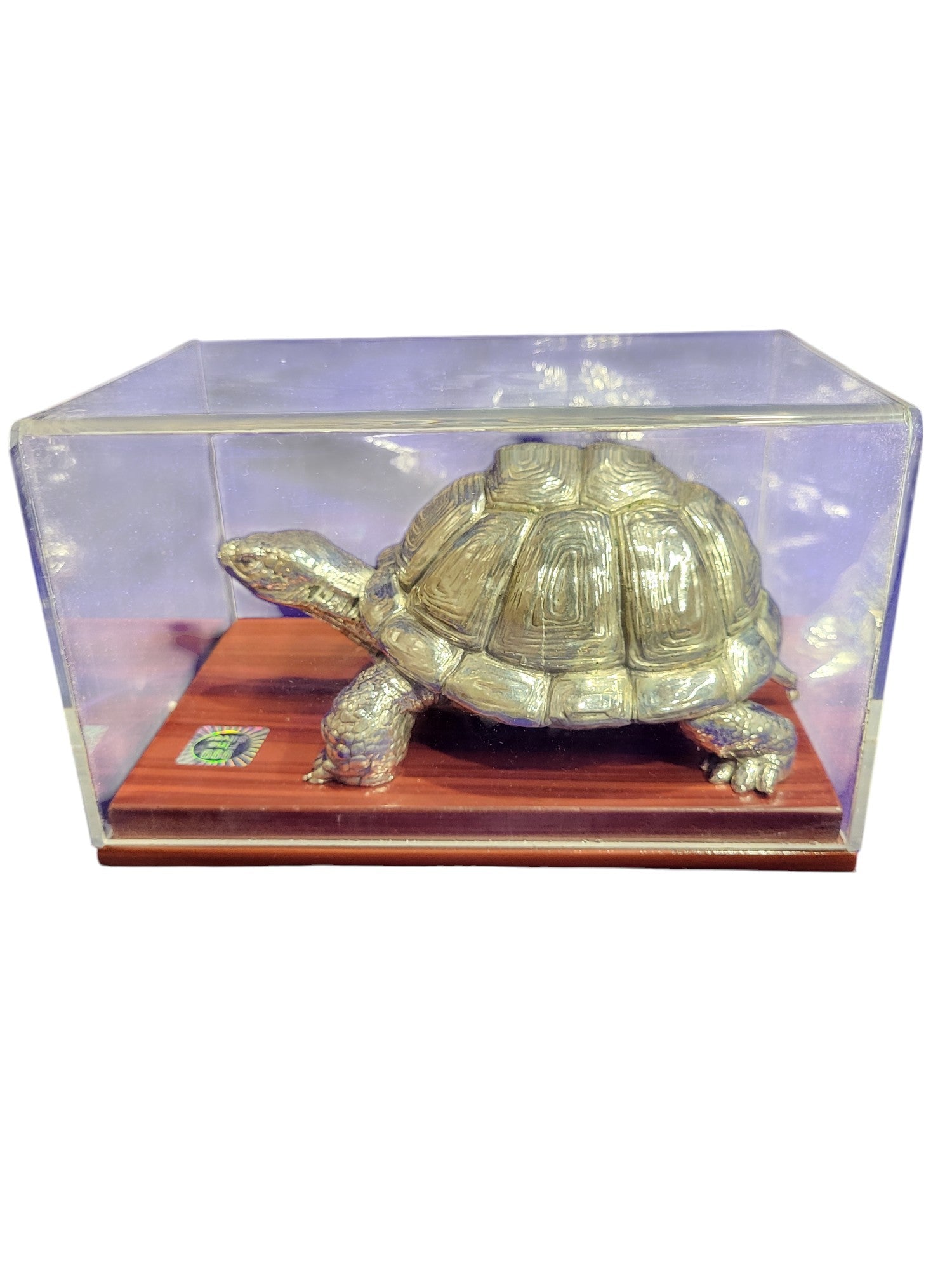 TORTOISE -S