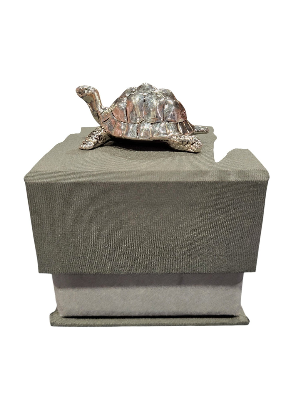 TORTOISE