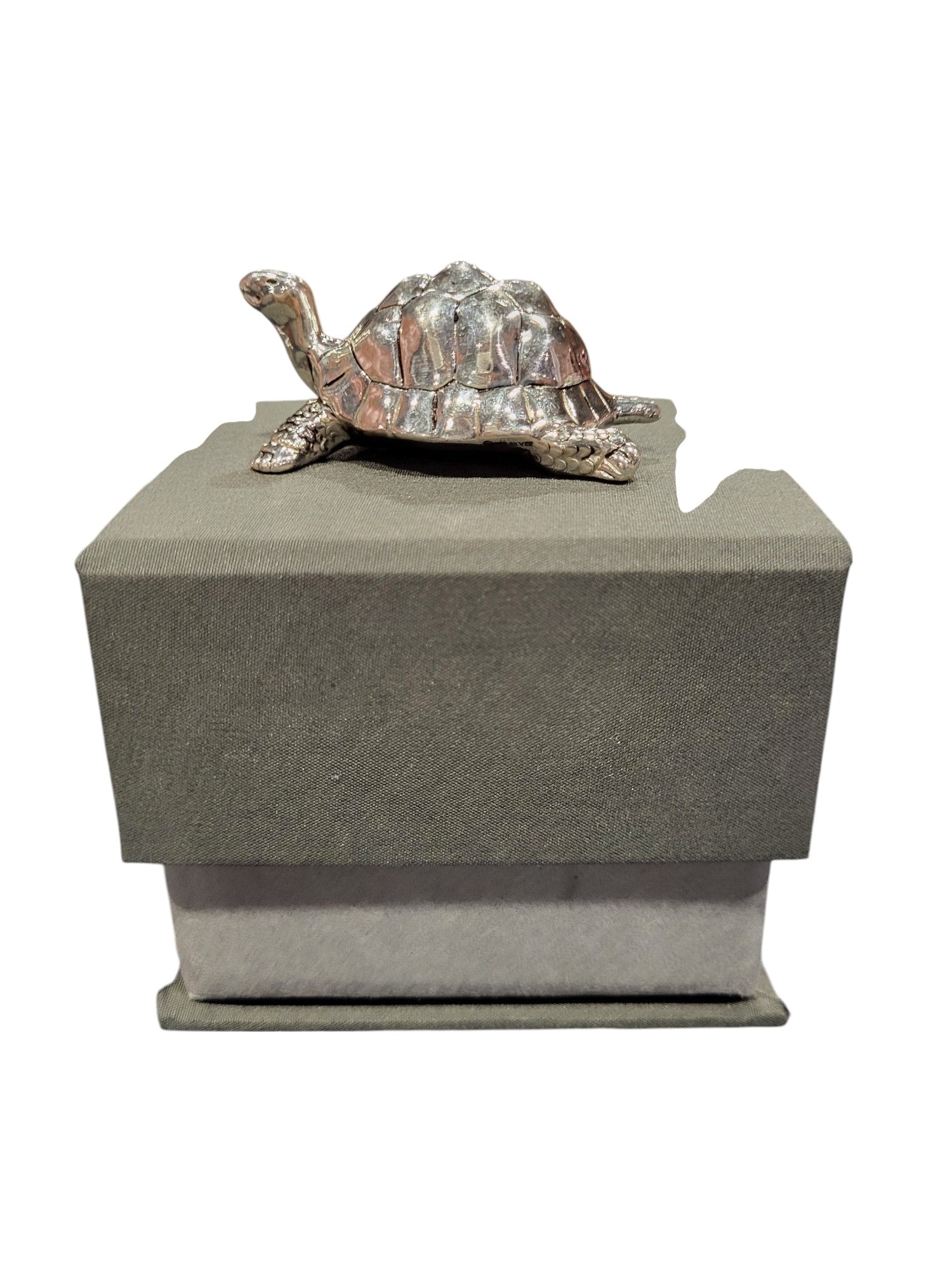 TORTOISE