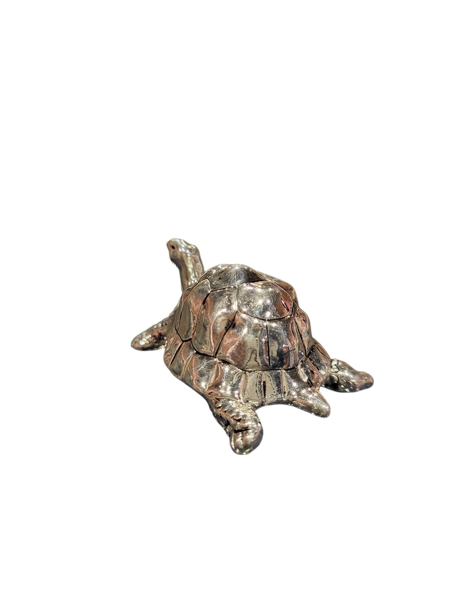 TORTOISE