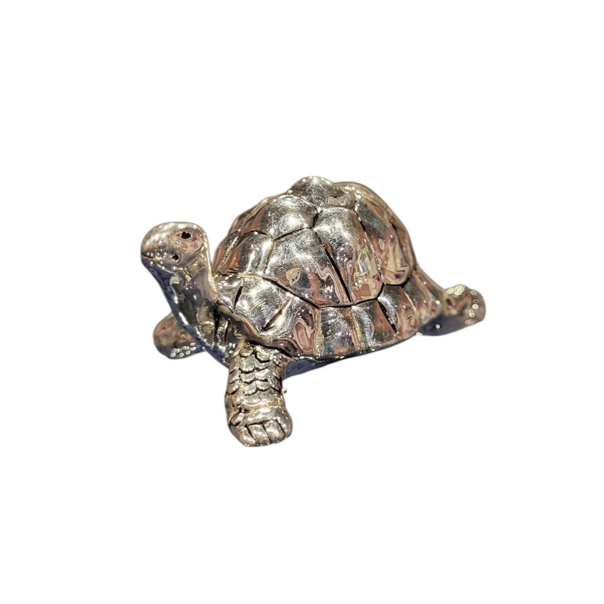 TORTOISE