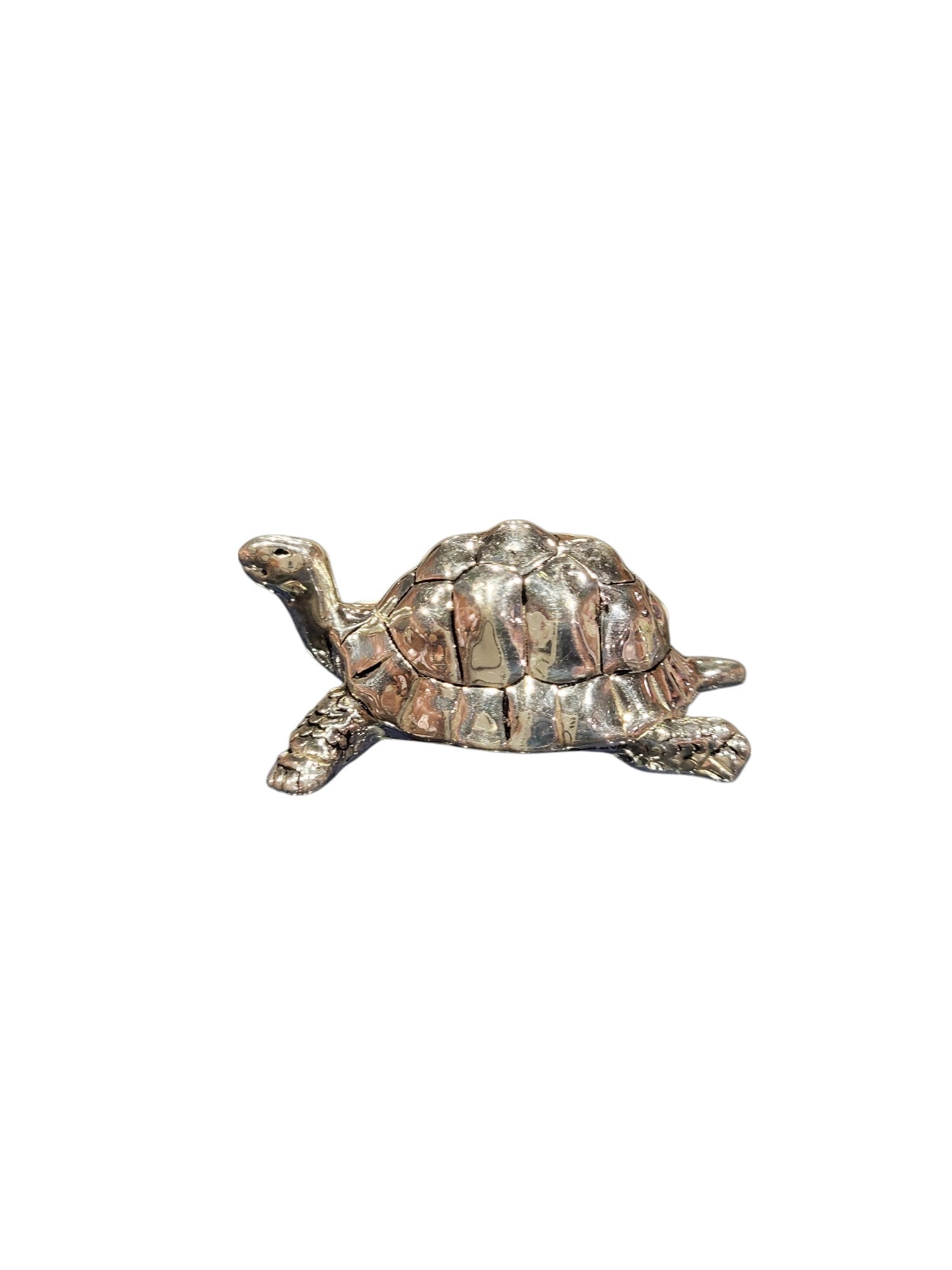 TORTOISE