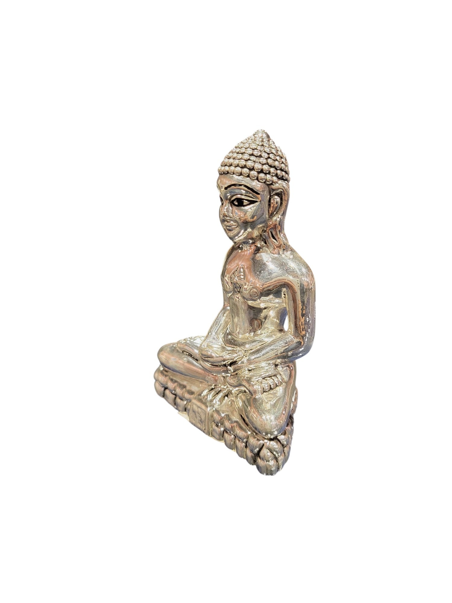 JAIN MAHARAJ
