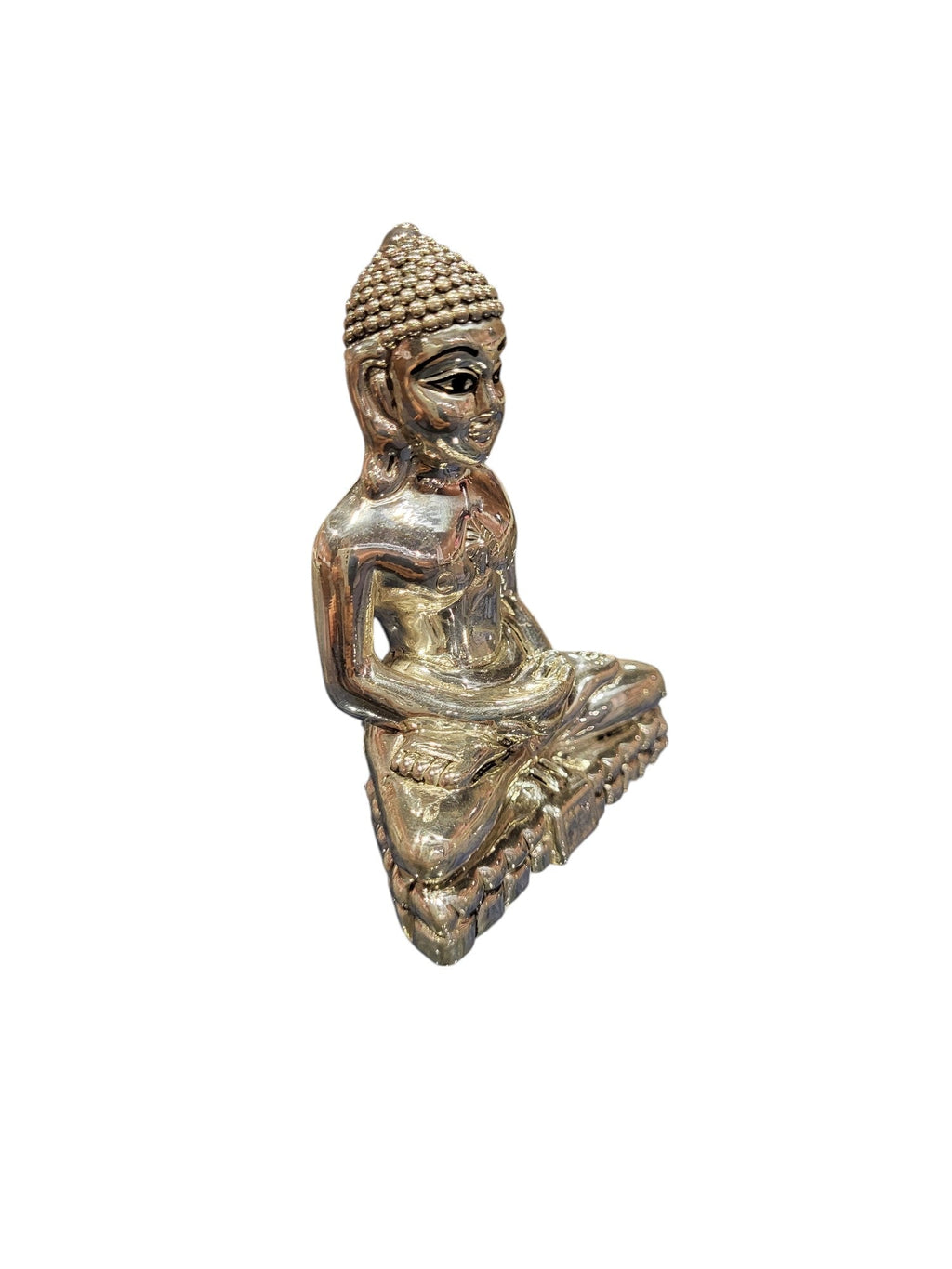JAIN MAHARAJ