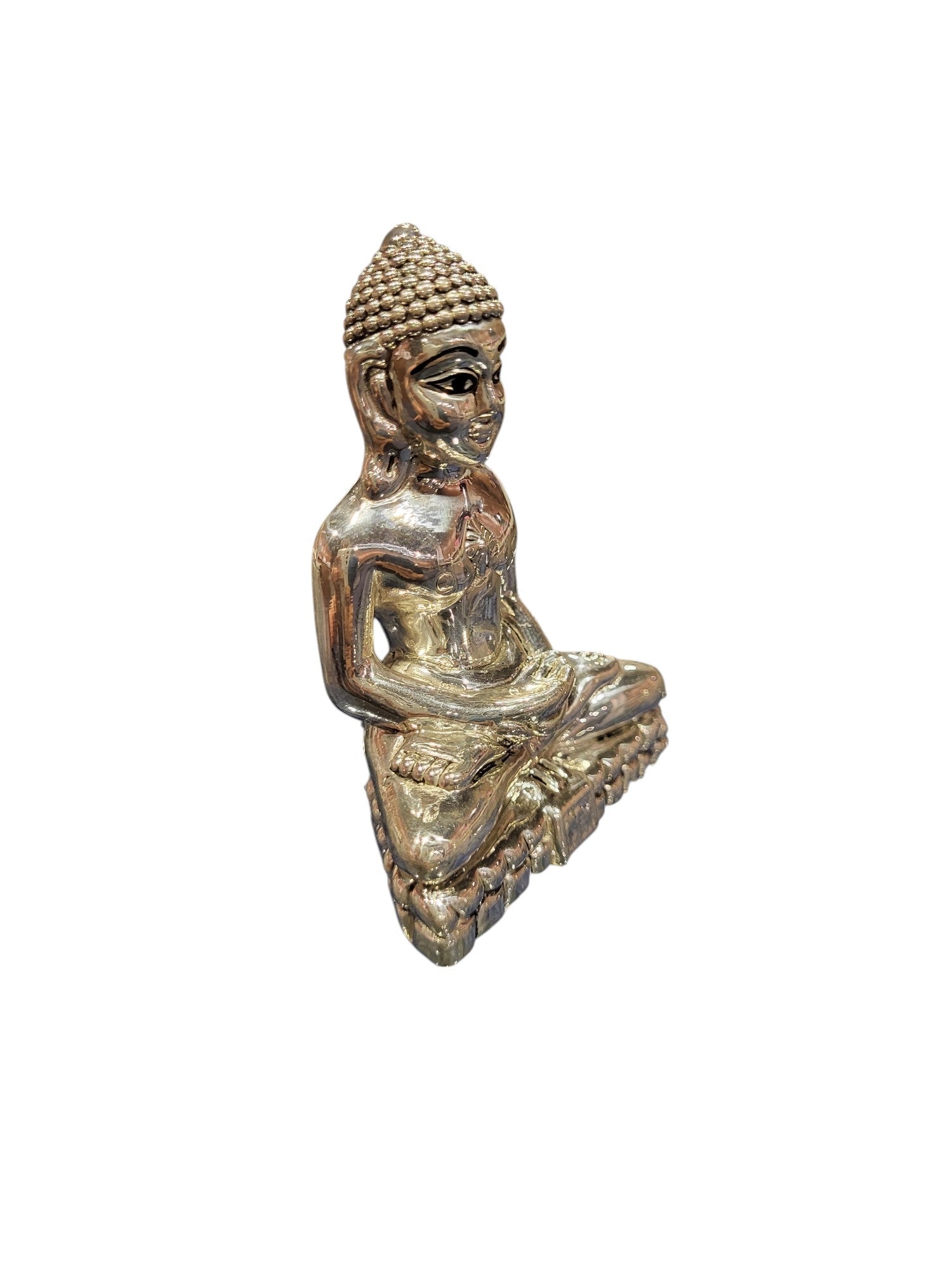 JAIN MAHARAJ