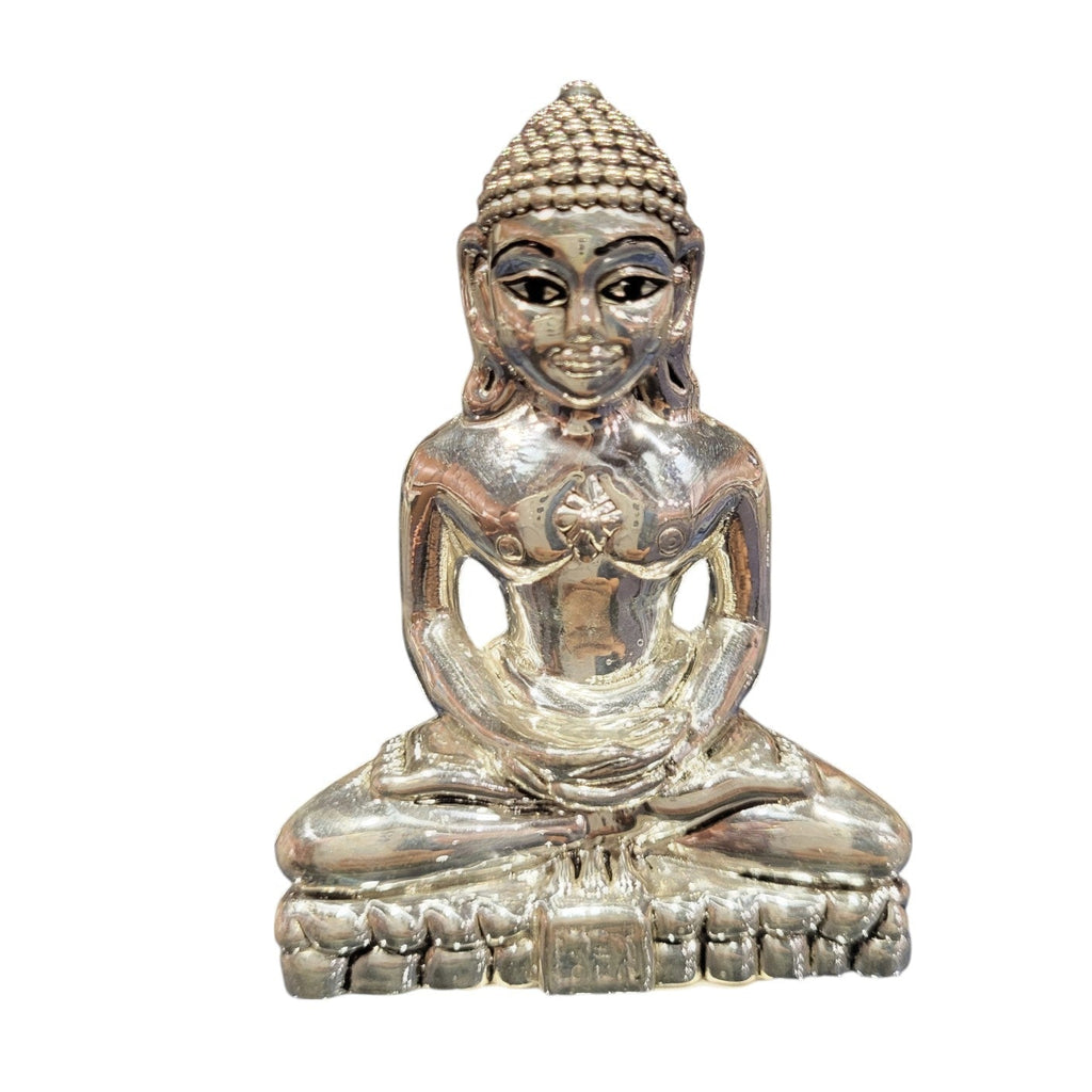 JAIN MAHARAJ