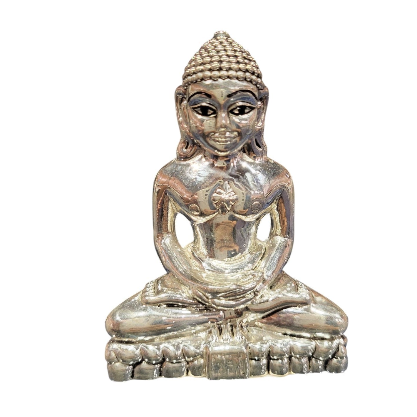 JAIN MAHARAJ