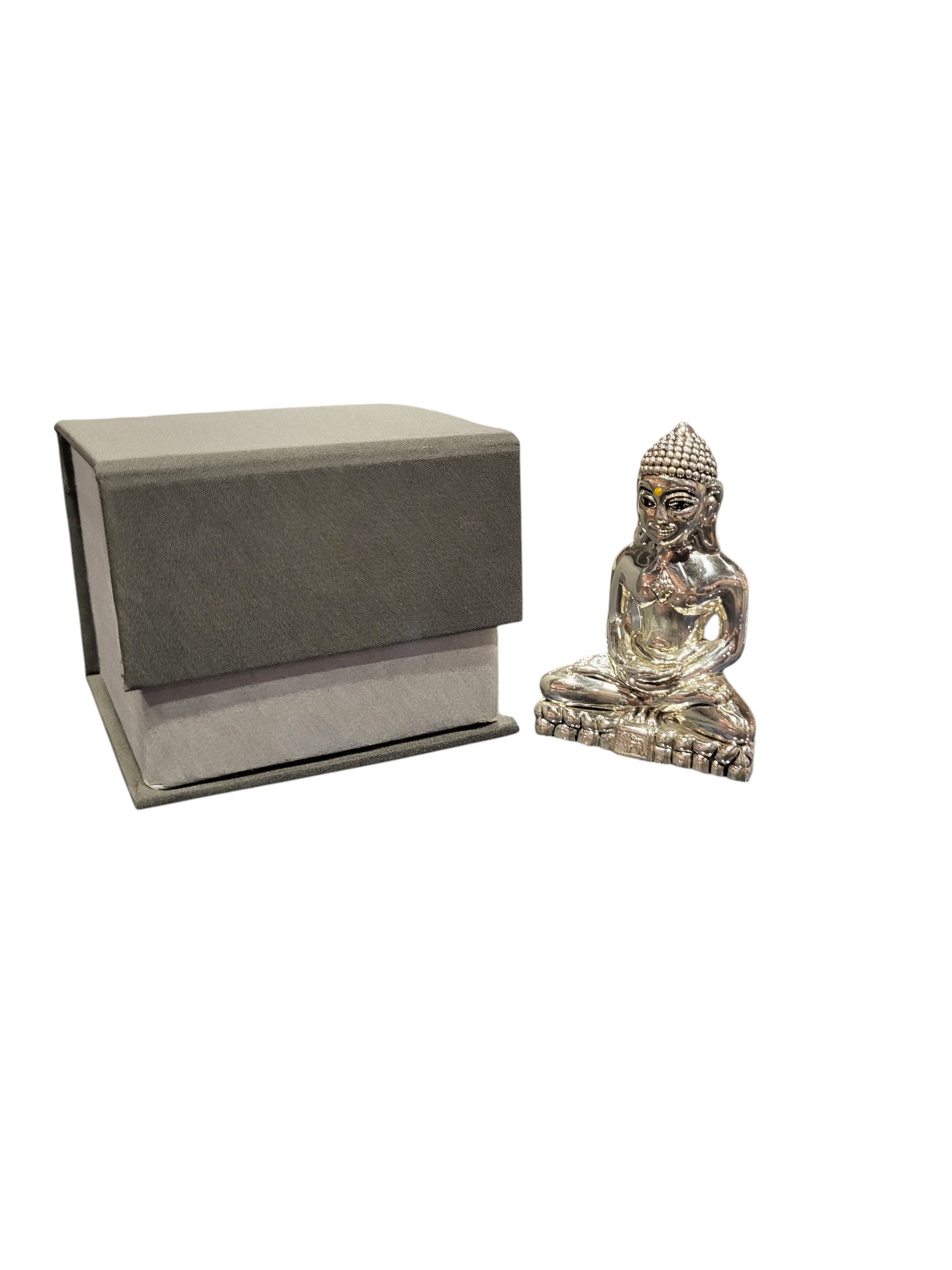 MAHAVIR SWAMI