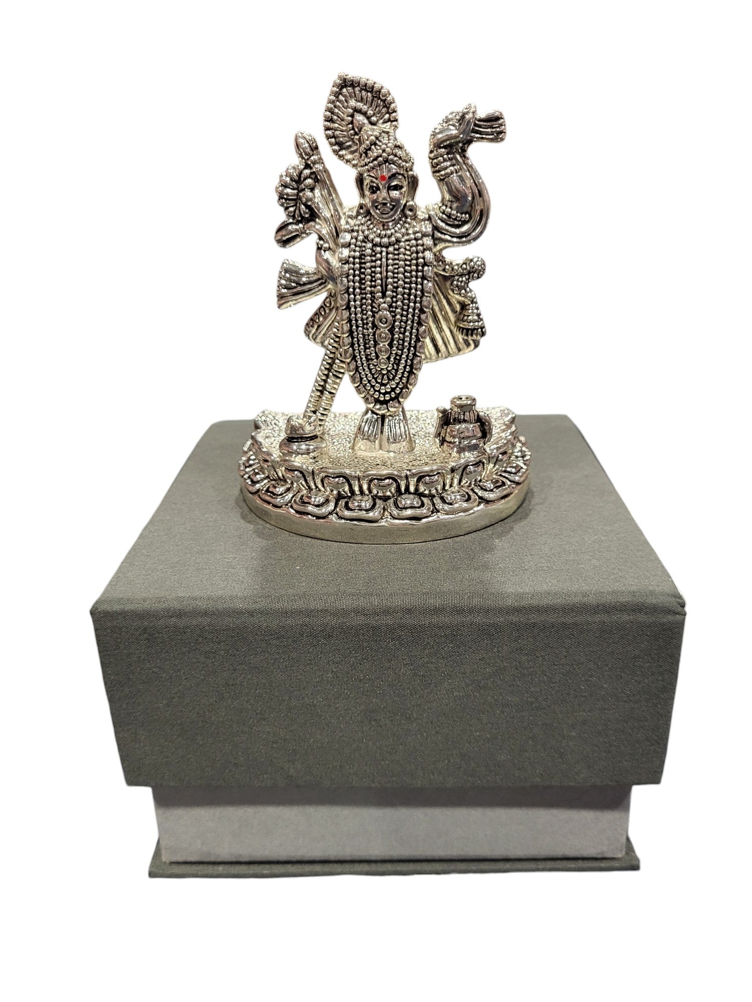 SRINATH JI