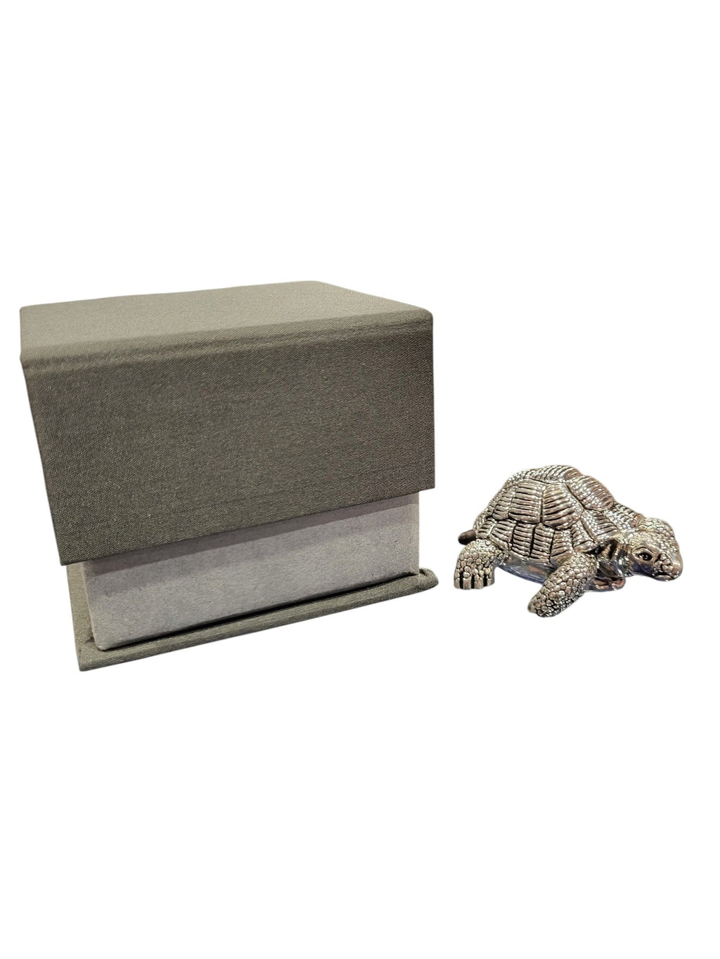 TORTOISE 36