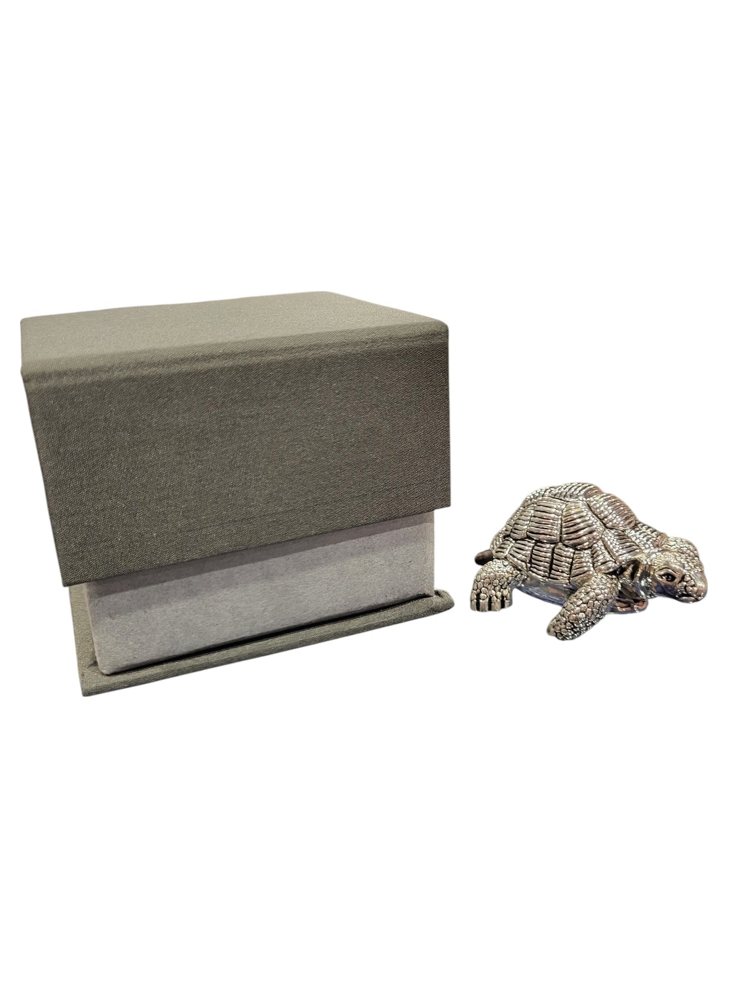 TORTOISE 36