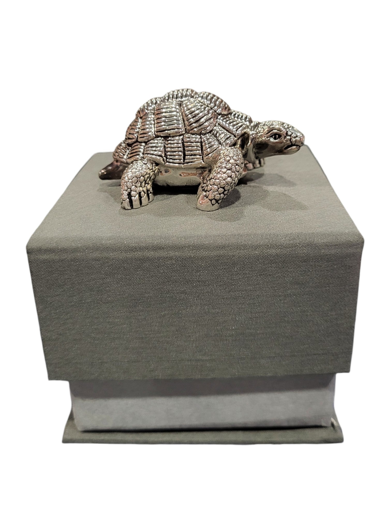 TORTOISE 36