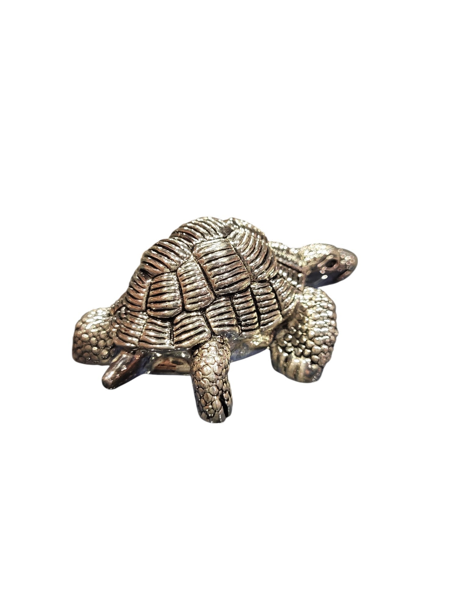 TORTOISE 36