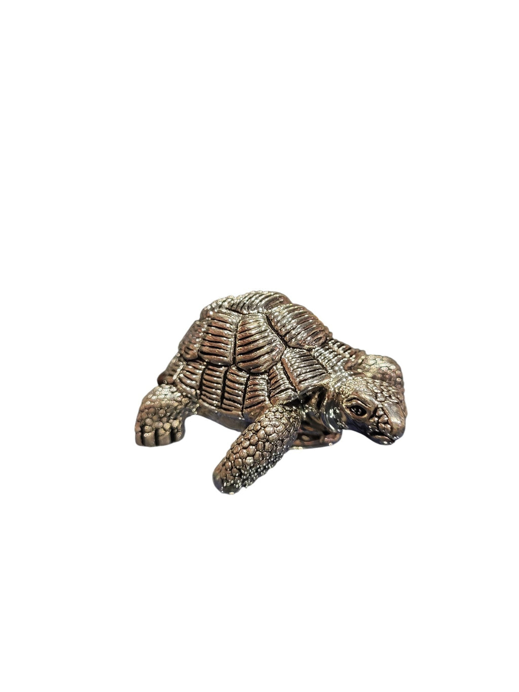 TORTOISE 36