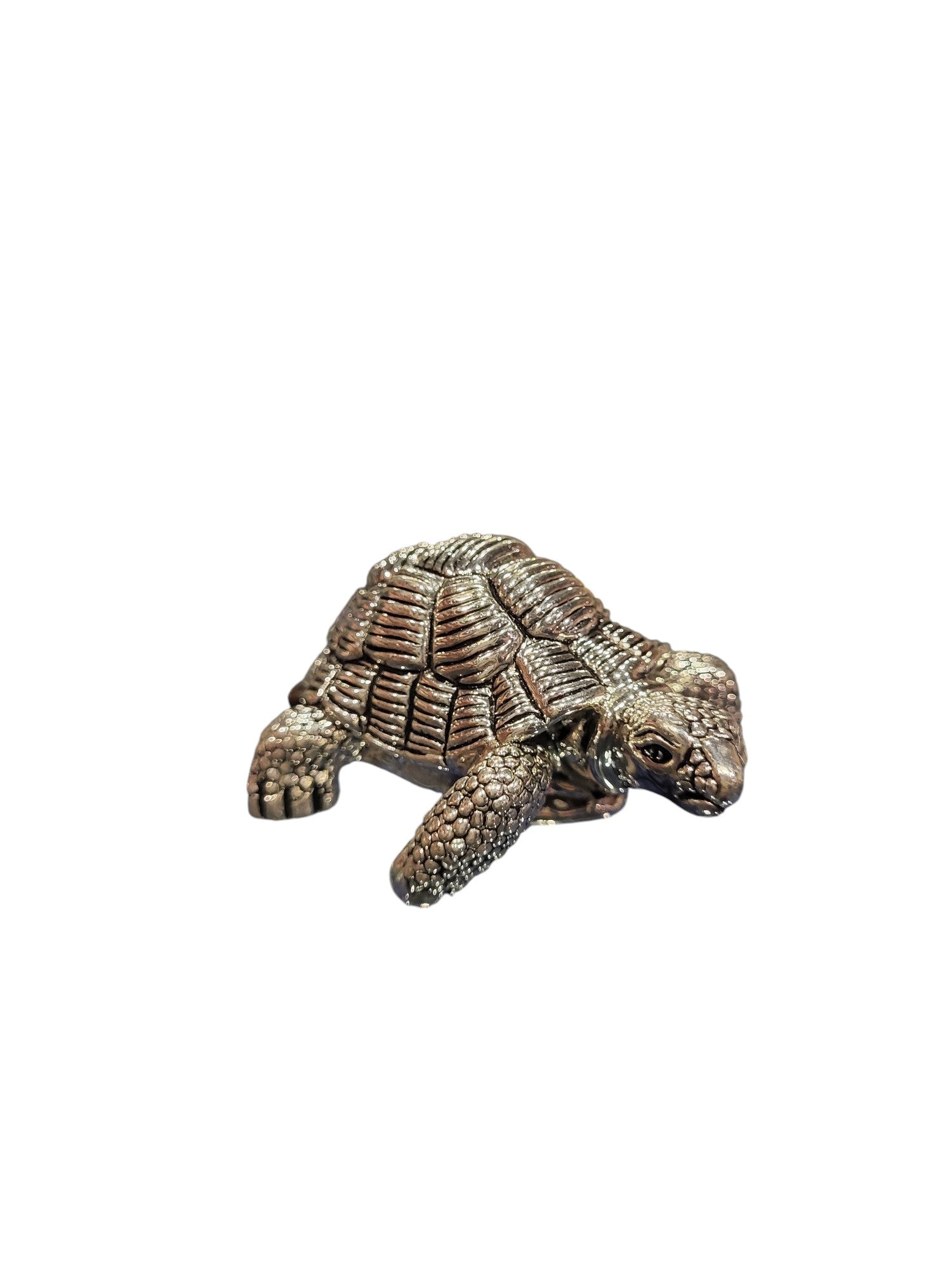TORTOISE 36