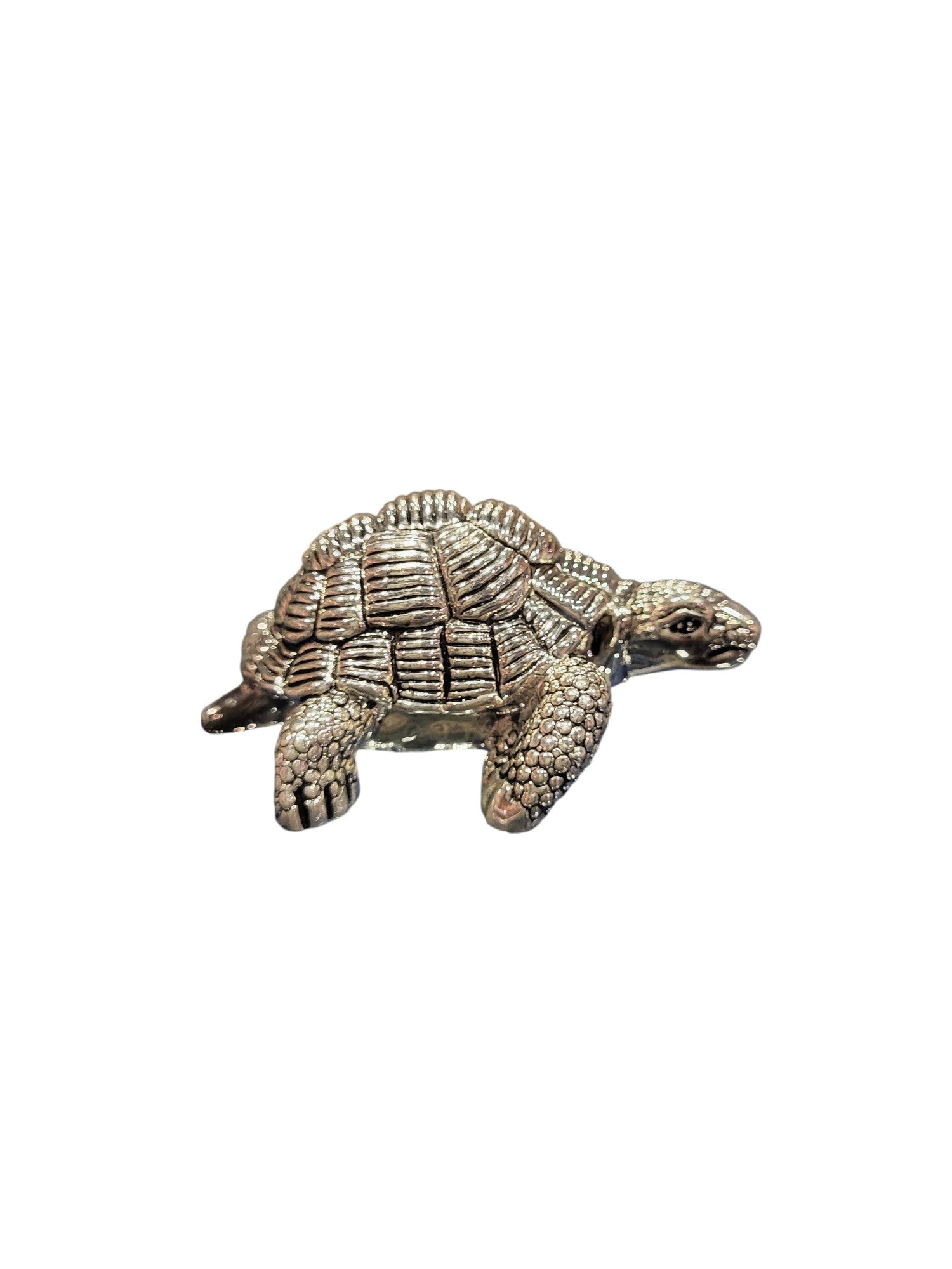 TORTOISE 36