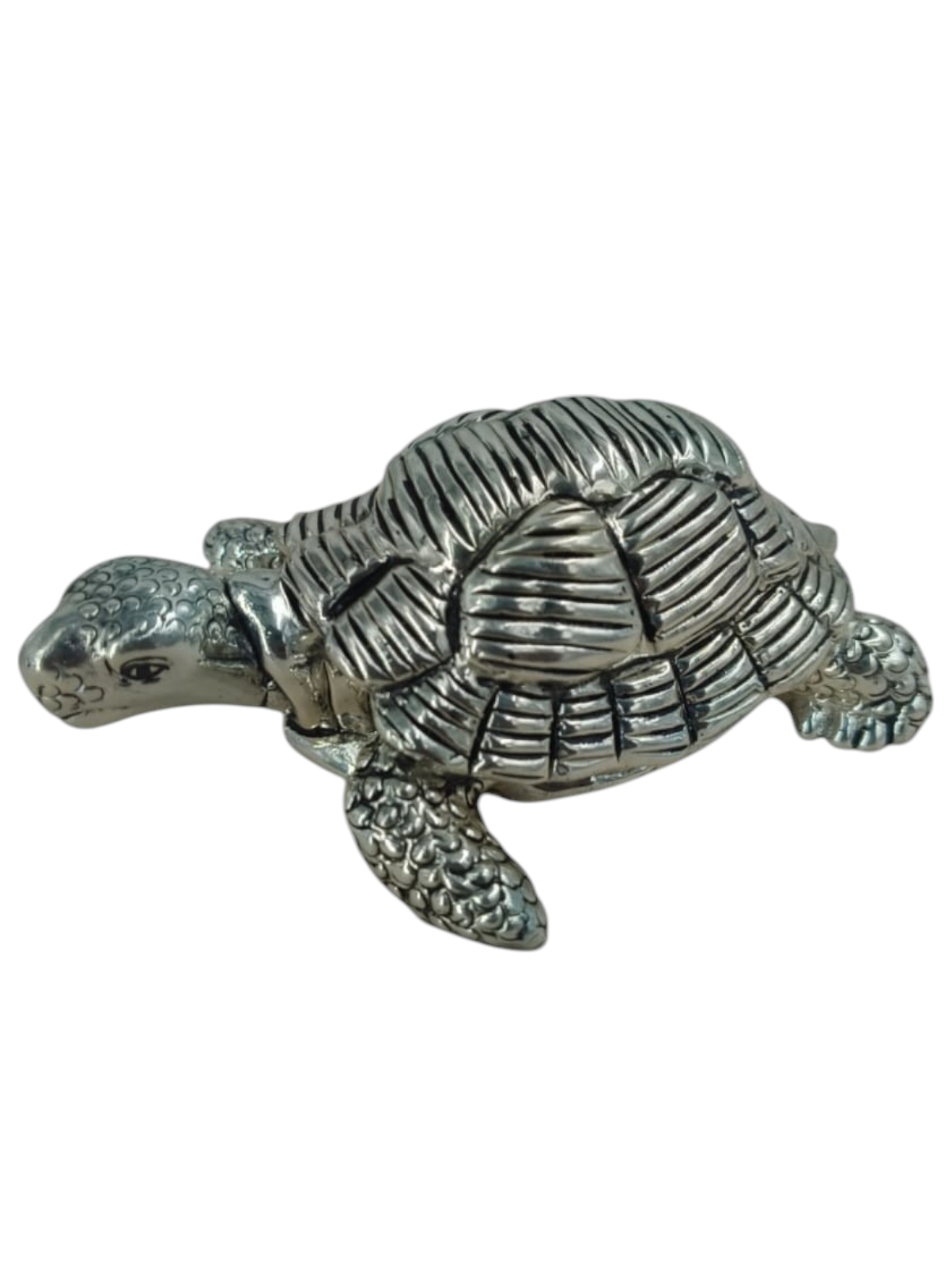 TORTOISE 69