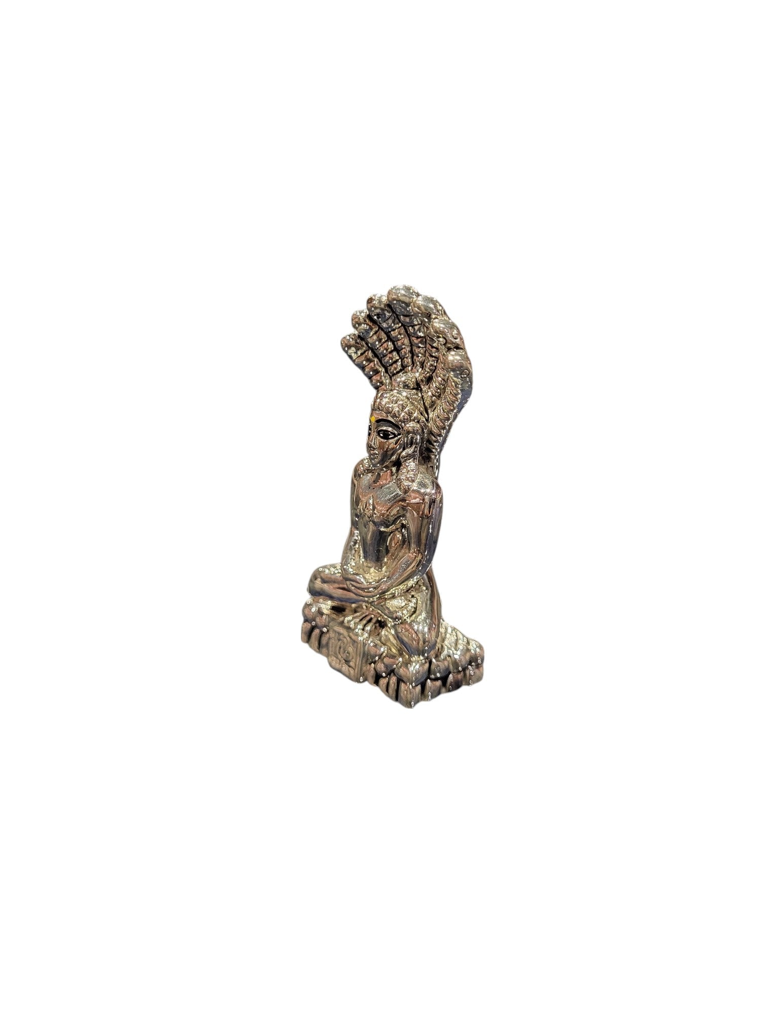 PARSHWANATH 207