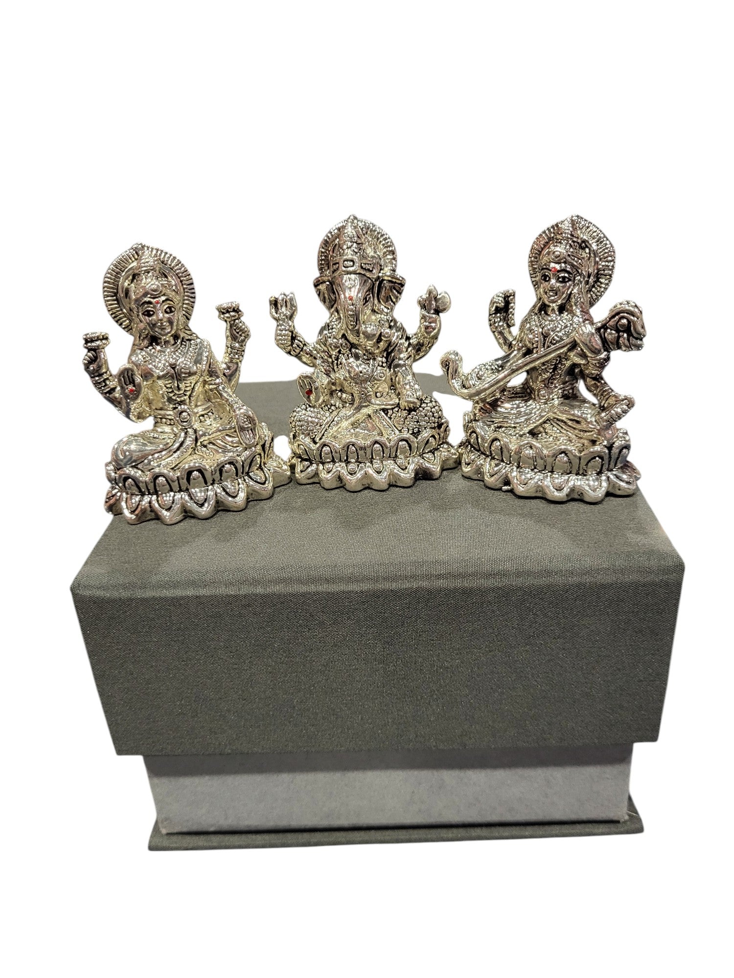 LAXMI GANESH SARSWATI (LGS