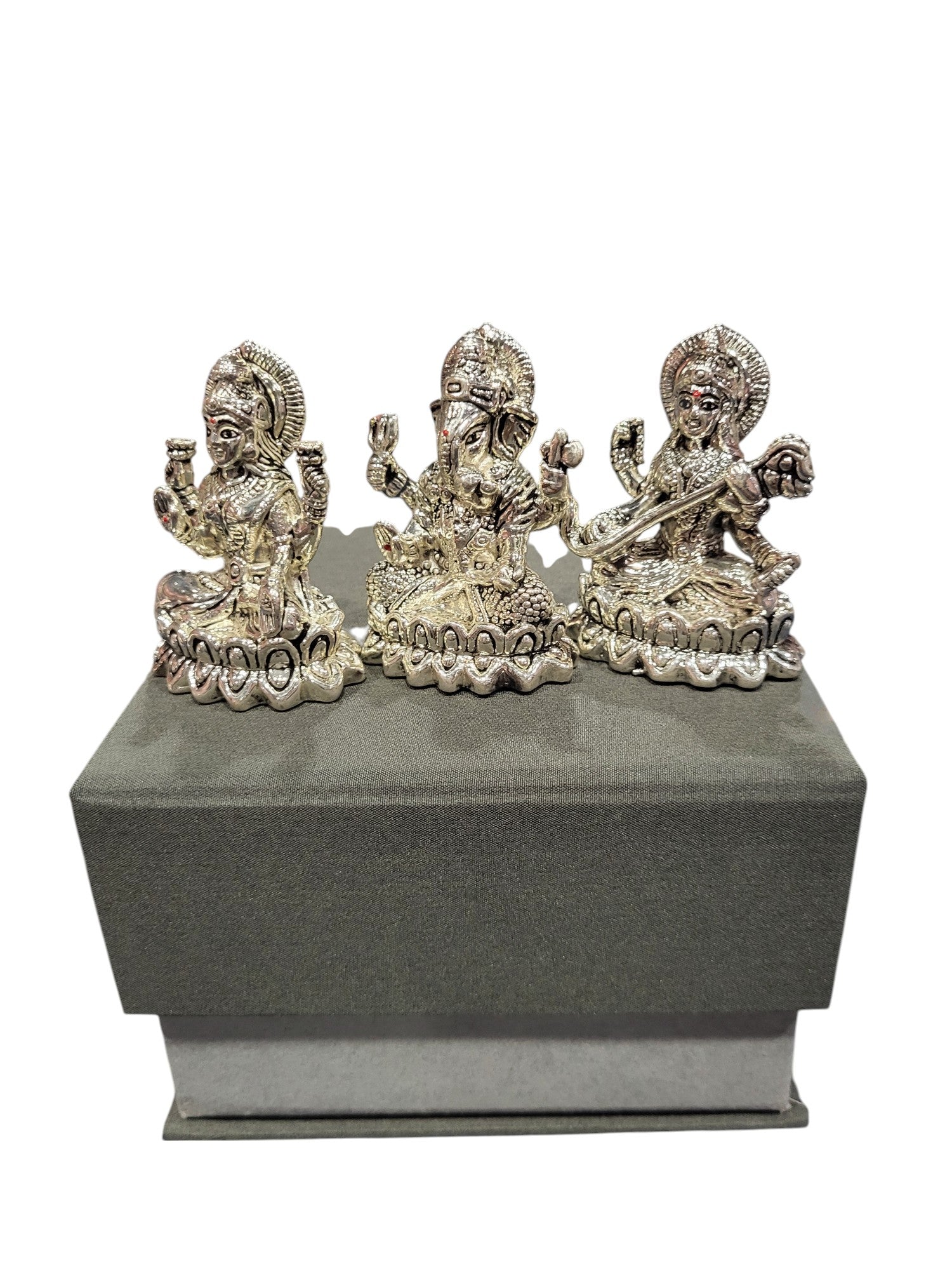 LAXMI GANESH SARSWATI (LGS