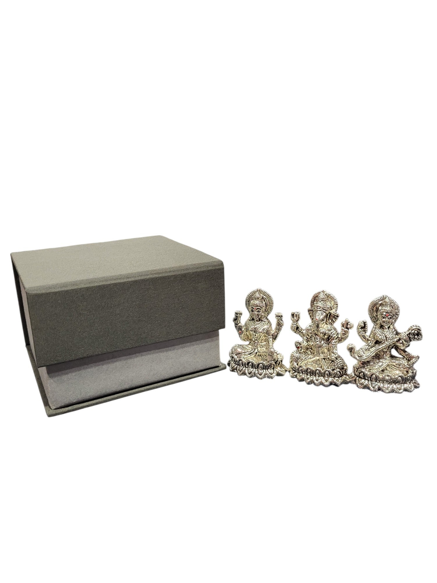 LAXMI GANESH SARSWATI (LGS