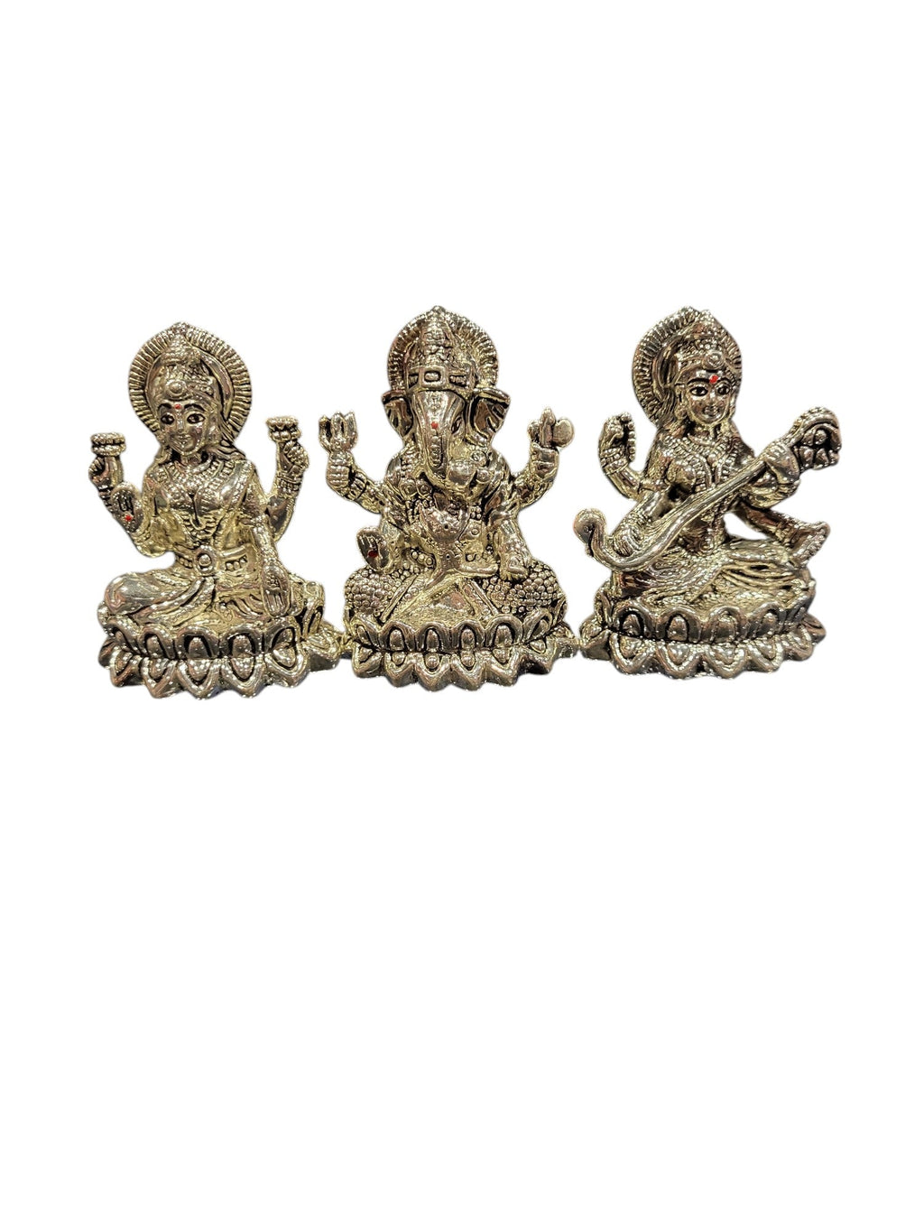 LAXMI GANESH SARSWATI (LGS
