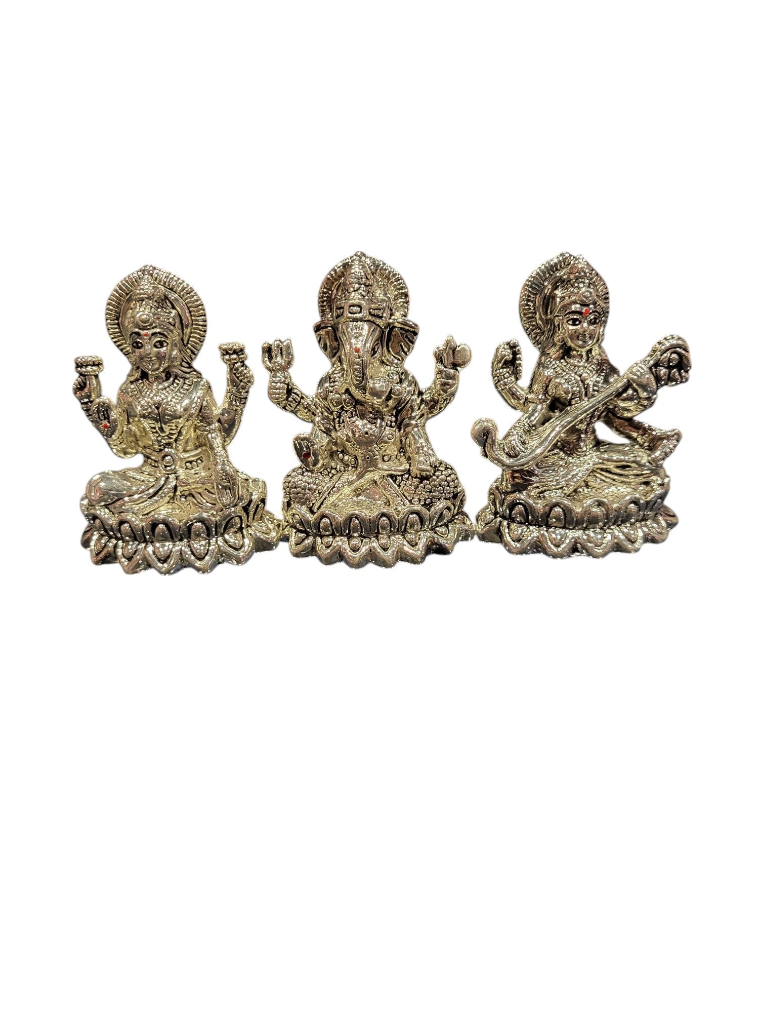 LAXMI GANESH SARSWATI (LGS