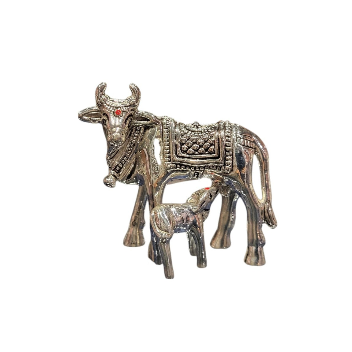 COW RIGHT FACE S037