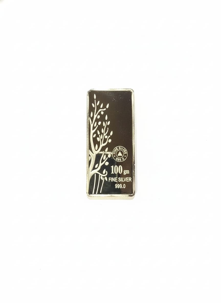 100 GM SILVER BAR