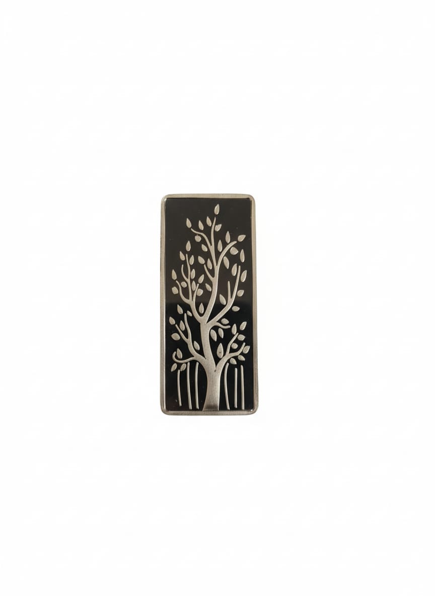 100 GM SILVER BAR