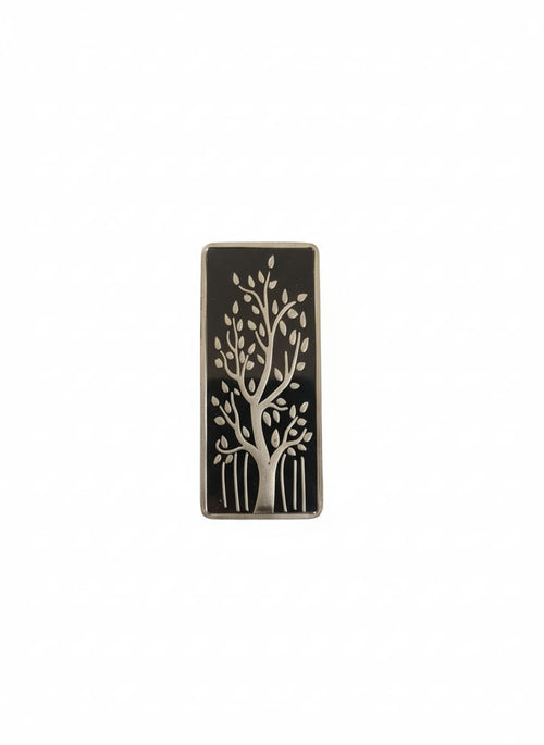 100 GM SILVER BAR